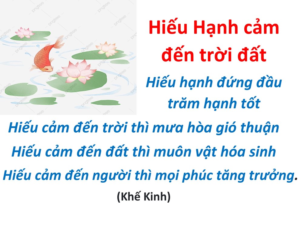 hieu duong cha me_vu lan bao hieu10.jpg